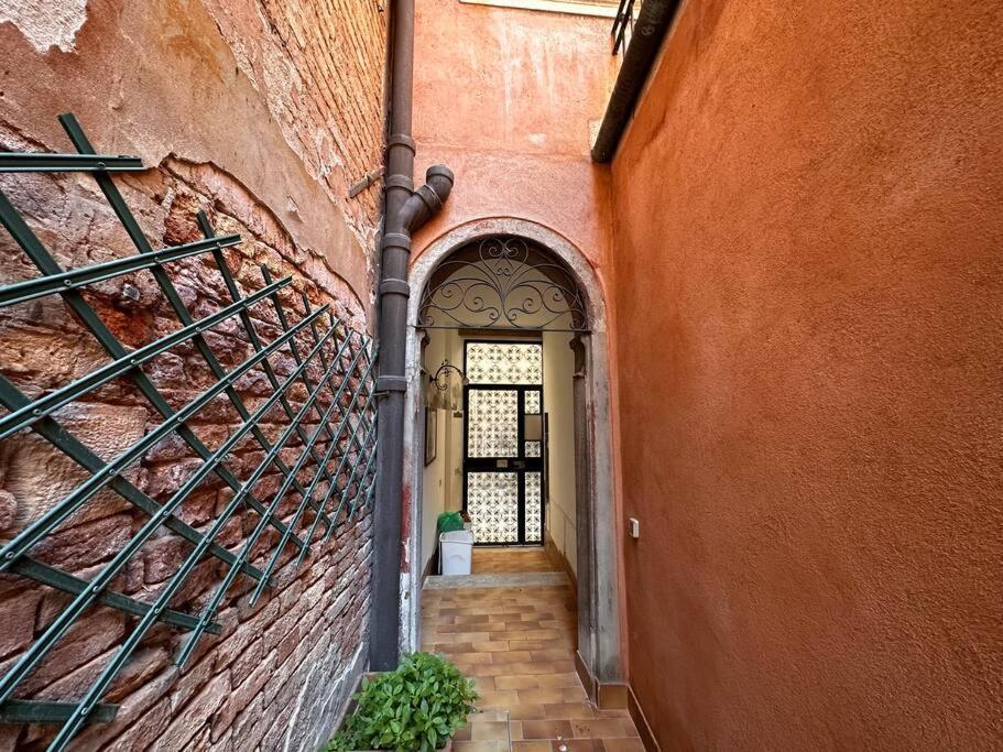 Apartment Terrace *